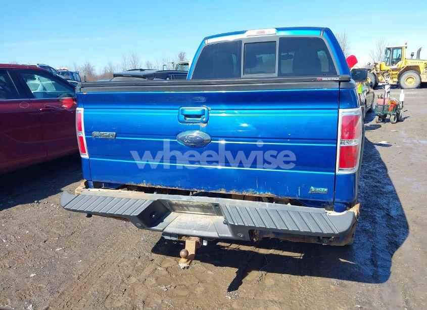 Photo 16 of 2010 Ford F-150 FX4/HARLEY-DAVIDSON/KING RANCH/LARIAT/PLATINUM/XL/XLT (VIN 1FTFW1EV1AFB87380)