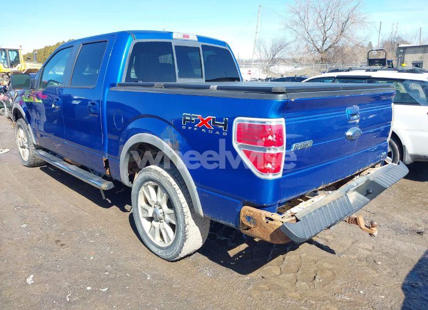 Photo 3 of 2010 Ford F-150 FX4/HARLEY-DAVIDSON/KING RANCH/LARIAT/PLATINUM/XL/XLT (VIN 1FTFW1EV1AFB87380)