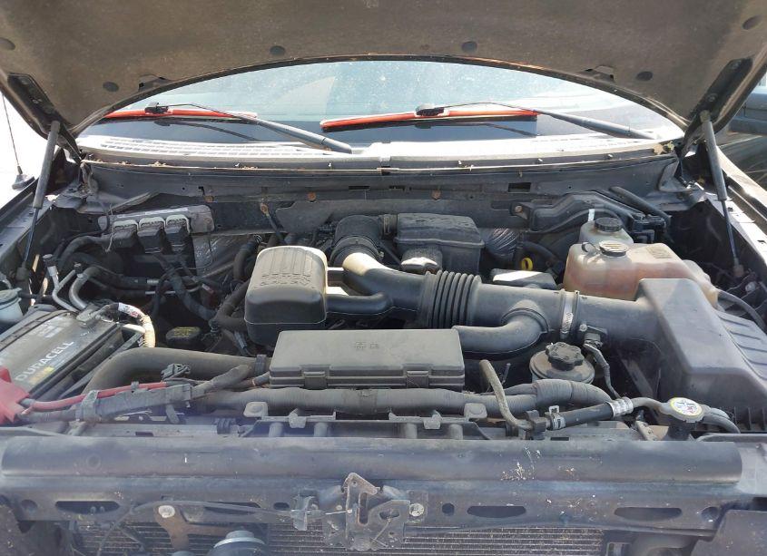 Photo 10 of 2010 Ford F-150 FX4/HARLEY-DAVIDSON/KING RANCH/LARIAT/PLATINUM/XL/XLT (VIN 1FTFW1EV1AFD79799)