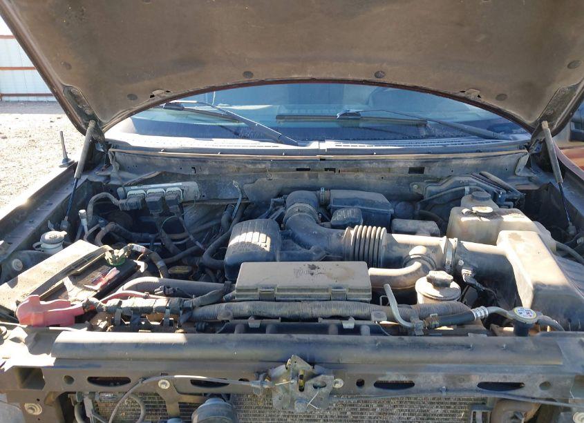 Photo 10 of 2010 Ford F-150 FX4/HARLEY-DAVIDSON/KING RANCH/LARIAT/PLATINUM/XL/XLT (VIN 1FTFW1EV1AFD93220)