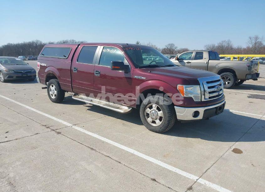 2010 Ford F-150 FX4/HARLEY-DAVIDSON/KING RANCH/LARIAT/PLATINUM/XL/XLT (VIN 1FTFW1EV1AKE07219) main photo