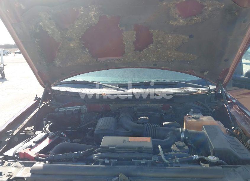 Photo 10 of 2010 Ford F-150 FX4/HARLEY-DAVIDSON/KING RANCH/LARIAT/PLATINUM/XL/XLT (VIN 1FTFW1EV1AKE07219)