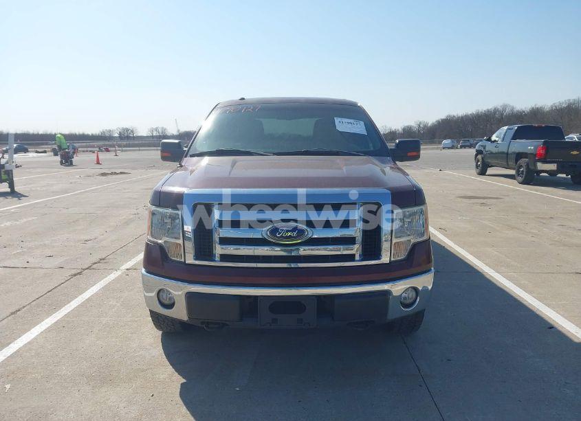 Photo 13 of 2010 Ford F-150 FX4/HARLEY-DAVIDSON/KING RANCH/LARIAT/PLATINUM/XL/XLT (VIN 1FTFW1EV1AKE07219)