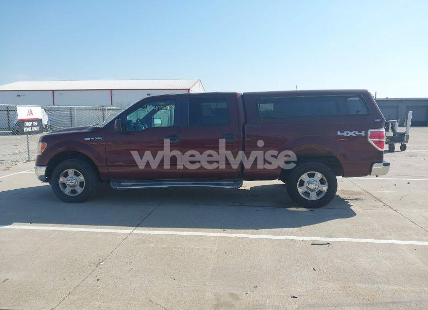 Photo 15 of 2010 Ford F-150 FX4/HARLEY-DAVIDSON/KING RANCH/LARIAT/PLATINUM/XL/XLT (VIN 1FTFW1EV1AKE07219)