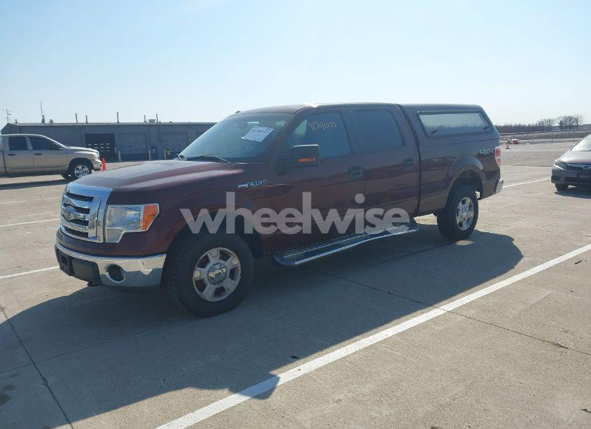 Photo 2 of 2010 Ford F-150 FX4/HARLEY-DAVIDSON/KING RANCH/LARIAT/PLATINUM/XL/XLT (VIN 1FTFW1EV1AKE07219)