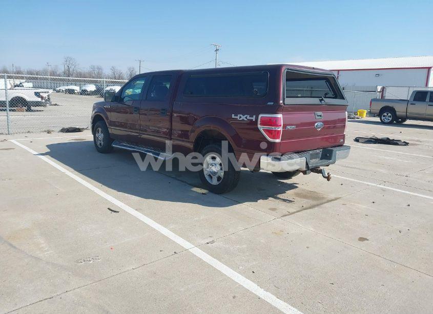 Photo 3 of 2010 Ford F-150 FX4/HARLEY-DAVIDSON/KING RANCH/LARIAT/PLATINUM/XL/XLT (VIN 1FTFW1EV1AKE07219)