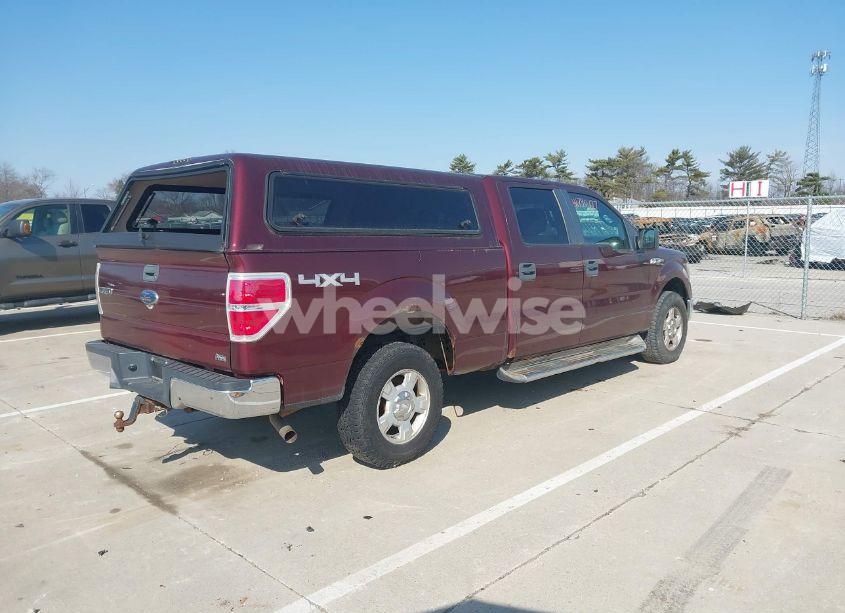 Photo 4 of 2010 Ford F-150 FX4/HARLEY-DAVIDSON/KING RANCH/LARIAT/PLATINUM/XL/XLT (VIN 1FTFW1EV1AKE07219)