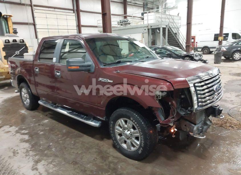 2010 Ford F-150 FX4/HARLEY-DAVIDSON/KING RANCH/LARIAT/PLATINUM/XL/XLT (VIN 1FTFW1EV1AKE46313) main photo