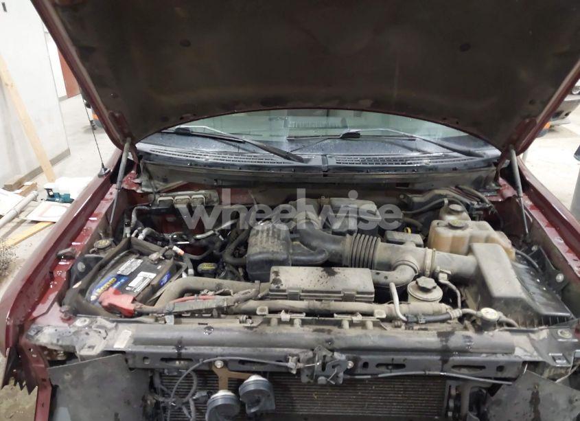 Photo 10 of 2010 Ford F-150 FX4/HARLEY-DAVIDSON/KING RANCH/LARIAT/PLATINUM/XL/XLT (VIN 1FTFW1EV1AKE46313)