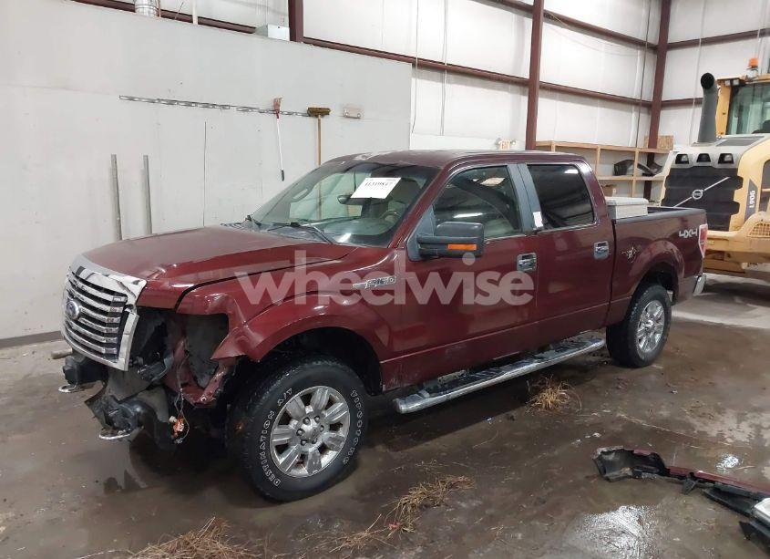 Photo 2 of 2010 Ford F-150 FX4/HARLEY-DAVIDSON/KING RANCH/LARIAT/PLATINUM/XL/XLT (VIN 1FTFW1EV1AKE46313)