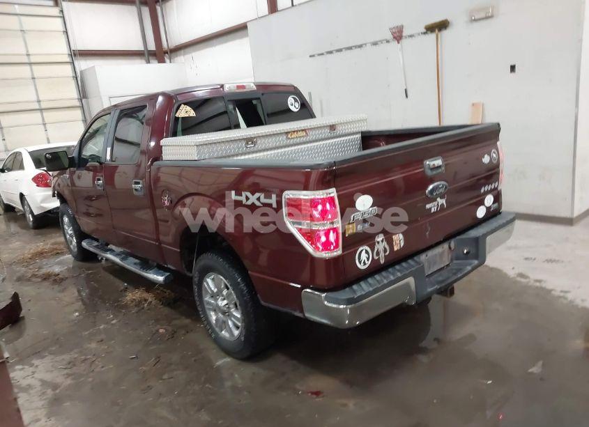 Photo 3 of 2010 Ford F-150 FX4/HARLEY-DAVIDSON/KING RANCH/LARIAT/PLATINUM/XL/XLT (VIN 1FTFW1EV1AKE46313)