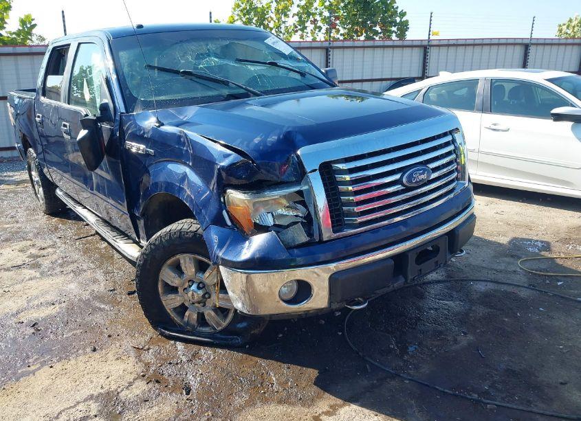 2010 Ford F-150 FX4/HARLEY-DAVIDSON/KING RANCH/LARIAT/PLATINUM/XL/XLT (VIN 1FTFW1EV2AFA03029) main photo