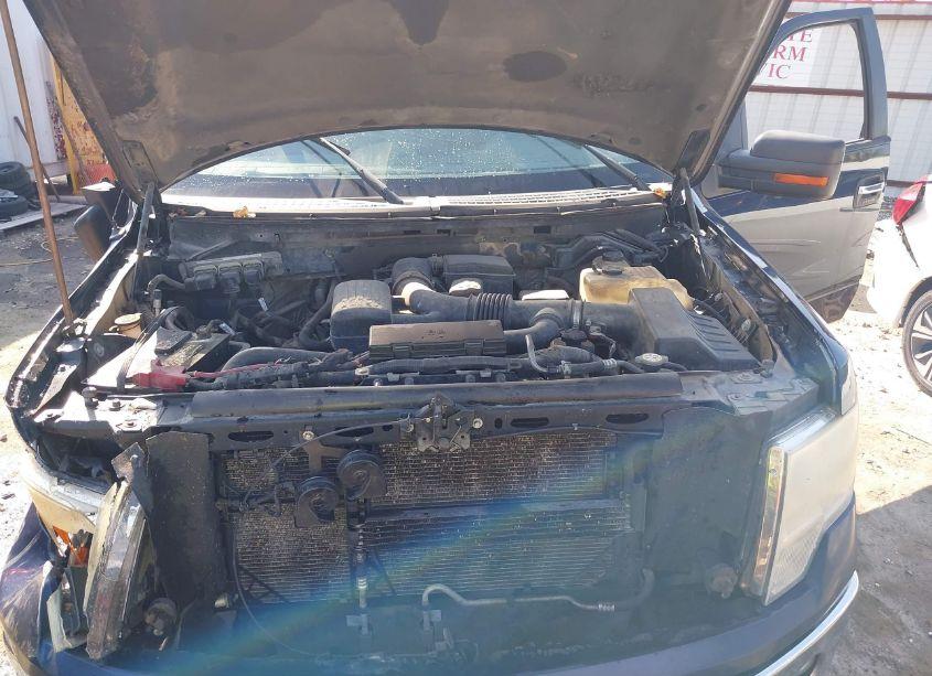 Photo 10 of 2010 Ford F-150 FX4/HARLEY-DAVIDSON/KING RANCH/LARIAT/PLATINUM/XL/XLT (VIN 1FTFW1EV2AFA03029)