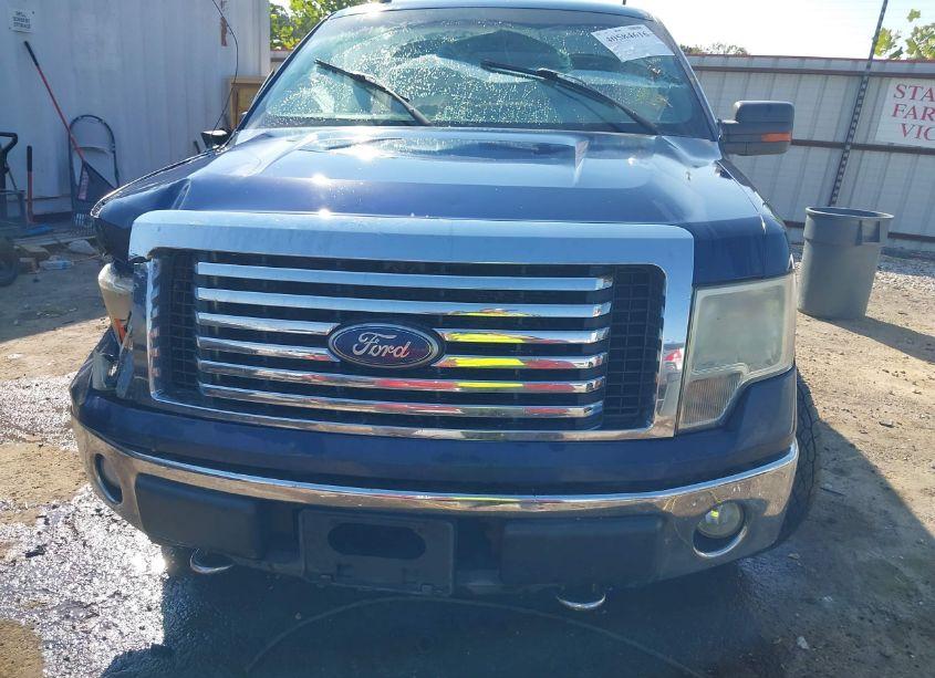 Photo 11 of 2010 Ford F-150 FX4/HARLEY-DAVIDSON/KING RANCH/LARIAT/PLATINUM/XL/XLT (VIN 1FTFW1EV2AFA03029)