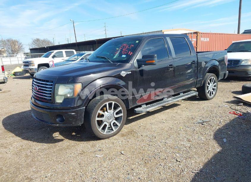 Photo 2 of 2010 Ford F-150 FX4/HARLEY-DAVIDSON/KING RANCH/LARIAT/PLATINUM/XL/XLT (VIN 1FTFW1EV2AFA72898)