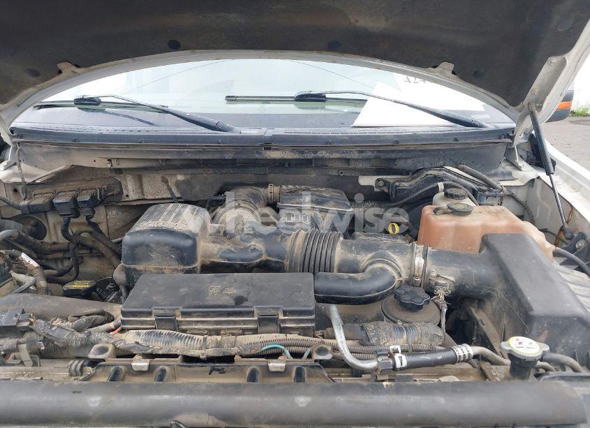 Photo 10 of 2010 Ford F-150 FX4/HARLEY-DAVIDSON/KING RANCH/LARIAT/PLATINUM/XL/XLT (VIN 1FTFW1EV2AFB00649)