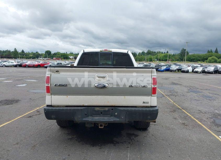 Photo 16 of 2010 Ford F-150 FX4/HARLEY-DAVIDSON/KING RANCH/LARIAT/PLATINUM/XL/XLT (VIN 1FTFW1EV2AFB00649)