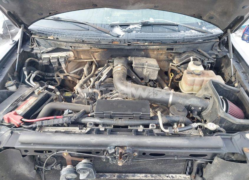 Photo 10 of 2010 Ford F-150 FX4/HARLEY-DAVIDSON/KING RANCH/LARIAT/PLATINUM/XL/XLT (VIN 1FTFW1EV2AFB95097)