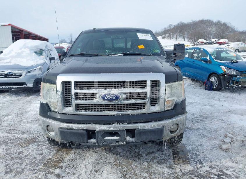Photo 12 of 2010 Ford F-150 FX4/HARLEY-DAVIDSON/KING RANCH/LARIAT/PLATINUM/XL/XLT (VIN 1FTFW1EV2AFB95097)