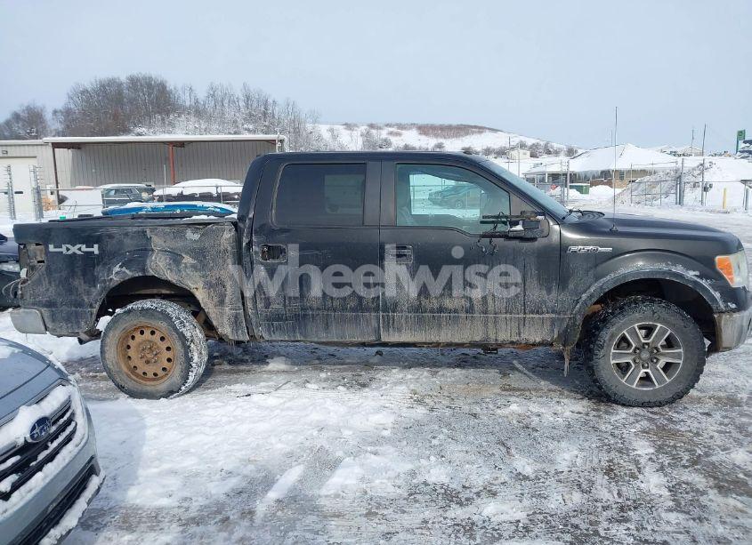 Photo 13 of 2010 Ford F-150 FX4/HARLEY-DAVIDSON/KING RANCH/LARIAT/PLATINUM/XL/XLT (VIN 1FTFW1EV2AFB95097)