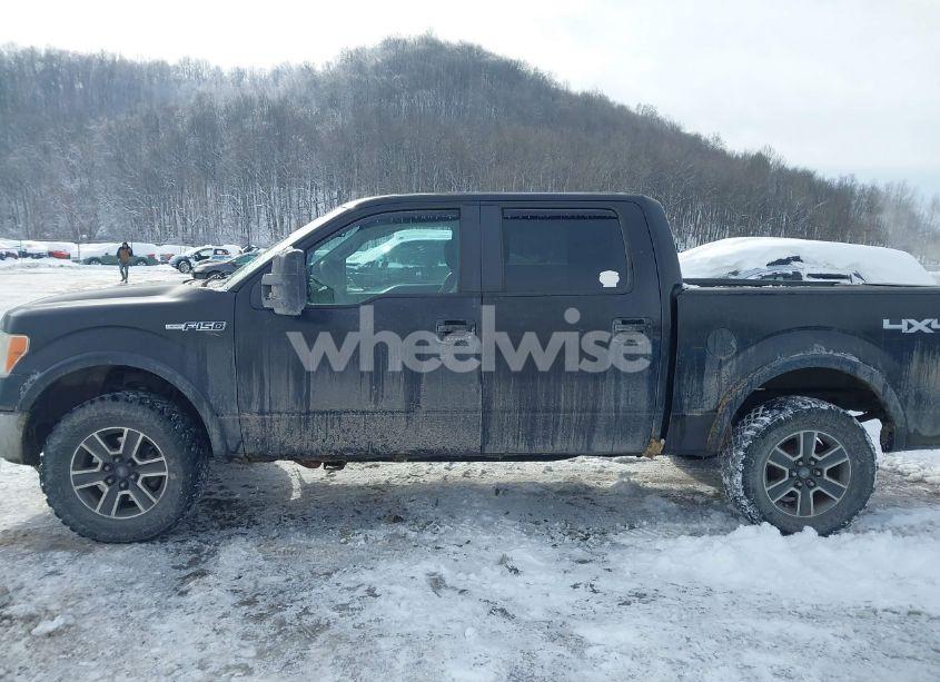 Photo 14 of 2010 Ford F-150 FX4/HARLEY-DAVIDSON/KING RANCH/LARIAT/PLATINUM/XL/XLT (VIN 1FTFW1EV2AFB95097)