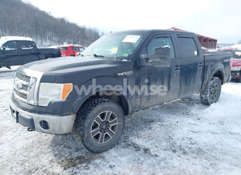 Photo 2 of 2010 Ford F-150 FX4/HARLEY-DAVIDSON/KING RANCH/LARIAT/PLATINUM/XL/XLT (VIN 1FTFW1EV2AFB95097)