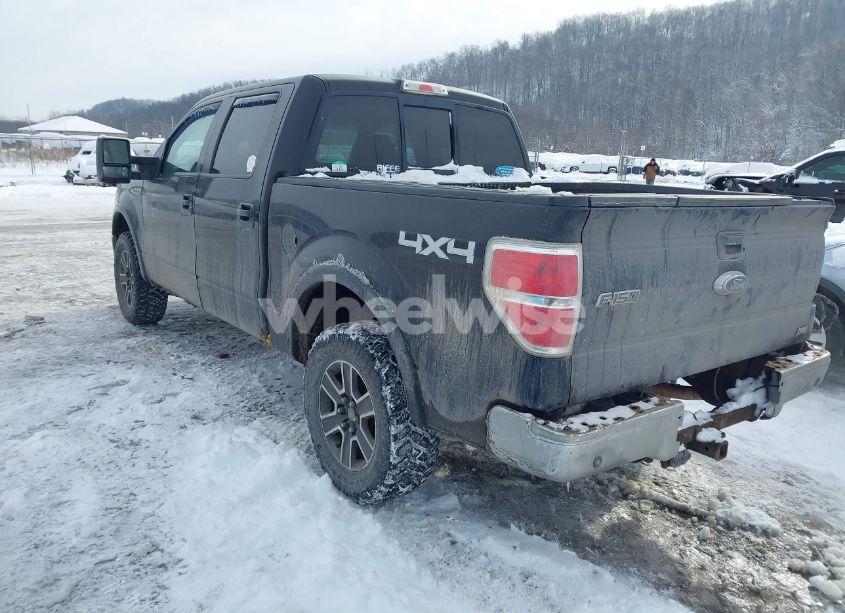 Photo 3 of 2010 Ford F-150 FX4/HARLEY-DAVIDSON/KING RANCH/LARIAT/PLATINUM/XL/XLT (VIN 1FTFW1EV2AFB95097)