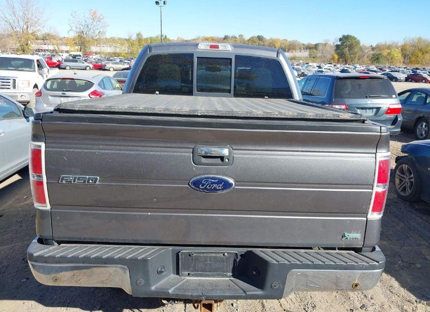 Photo 16 of 2010 Ford F-150 FX4/HARLEY-DAVIDSON/KING RANCH/LARIAT/PLATINUM/XL/XLT (VIN 1FTFW1EV2AFC05756)