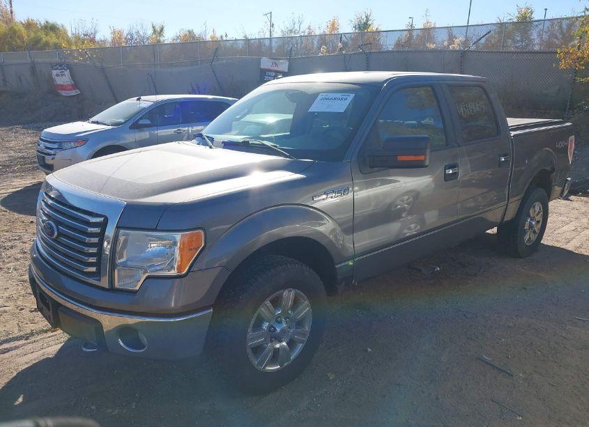 Photo 2 of 2010 Ford F-150 FX4/HARLEY-DAVIDSON/KING RANCH/LARIAT/PLATINUM/XL/XLT (VIN 1FTFW1EV2AFC05756)