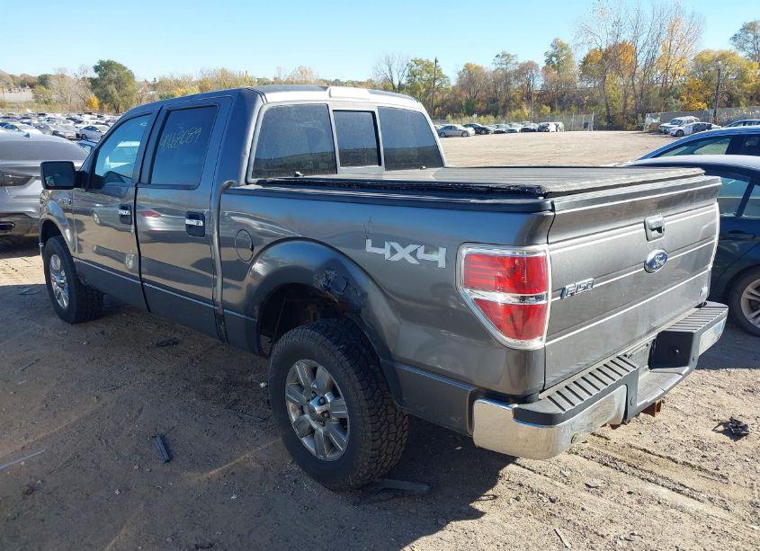 Photo 3 of 2010 Ford F-150 FX4/HARLEY-DAVIDSON/KING RANCH/LARIAT/PLATINUM/XL/XLT (VIN 1FTFW1EV2AFC05756)