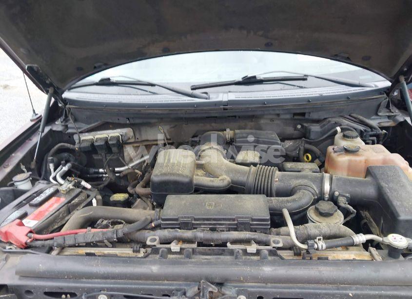 Photo 10 of 2010 Ford F-150 FX4/HARLEY-DAVIDSON/KING RANCH/LARIAT/PLATINUM/XL/XLT (VIN 1FTFW1EV2AFC21231)