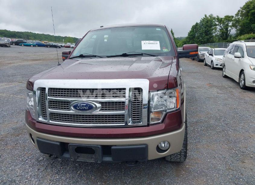 Photo 12 of 2010 Ford F-150 FX4/HARLEY-DAVIDSON/KING RANCH/LARIAT/PLATINUM/XL/XLT (VIN 1FTFW1EV2AFC21231)