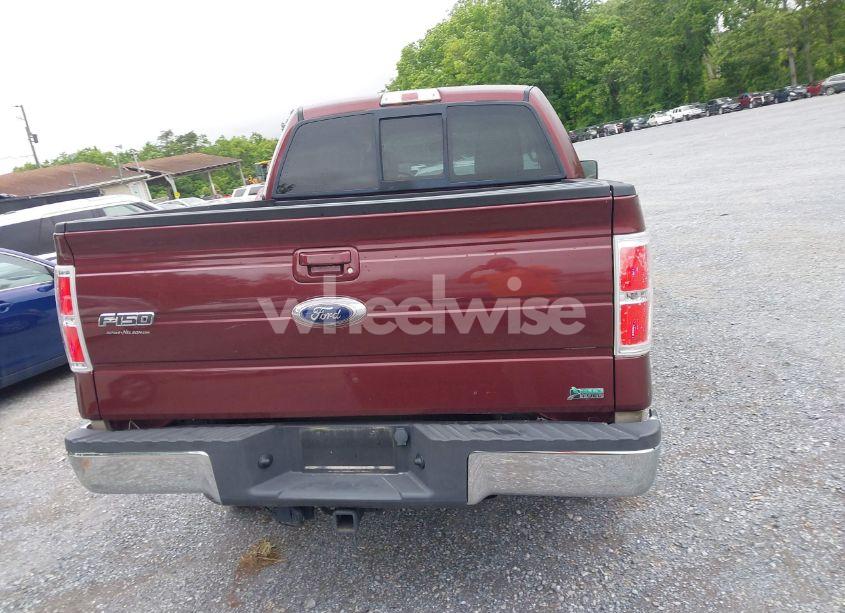 Photo 16 of 2010 Ford F-150 FX4/HARLEY-DAVIDSON/KING RANCH/LARIAT/PLATINUM/XL/XLT (VIN 1FTFW1EV2AFC21231)