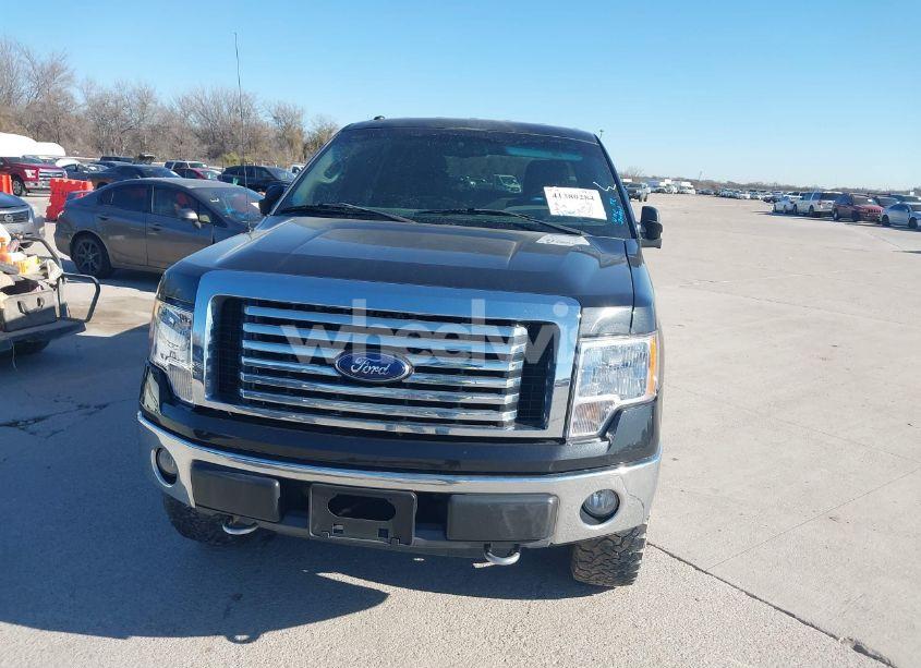 Photo 12 of 2010 Ford F-150 FX4/HARLEY-DAVIDSON/KING RANCH/LARIAT/PLATINUM/XL/XLT (VIN 1FTFW1EV2AFC49062)