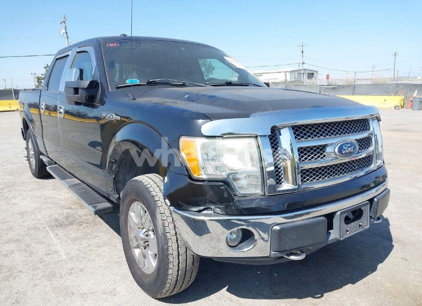 2010 Ford F-150 FX4/HARLEY-DAVIDSON/KING RANCH/LARIAT/PLATINUM/XL/XLT (VIN 1FTFW1EV2AFC73331) main photo