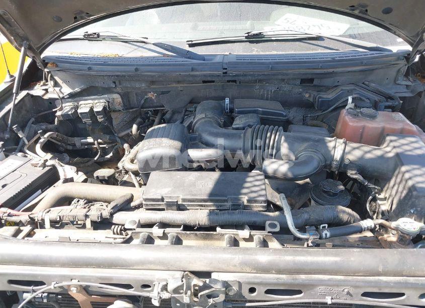 Photo 10 of 2010 Ford F-150 FX4/HARLEY-DAVIDSON/KING RANCH/LARIAT/PLATINUM/XL/XLT (VIN 1FTFW1EV2AFC73331)