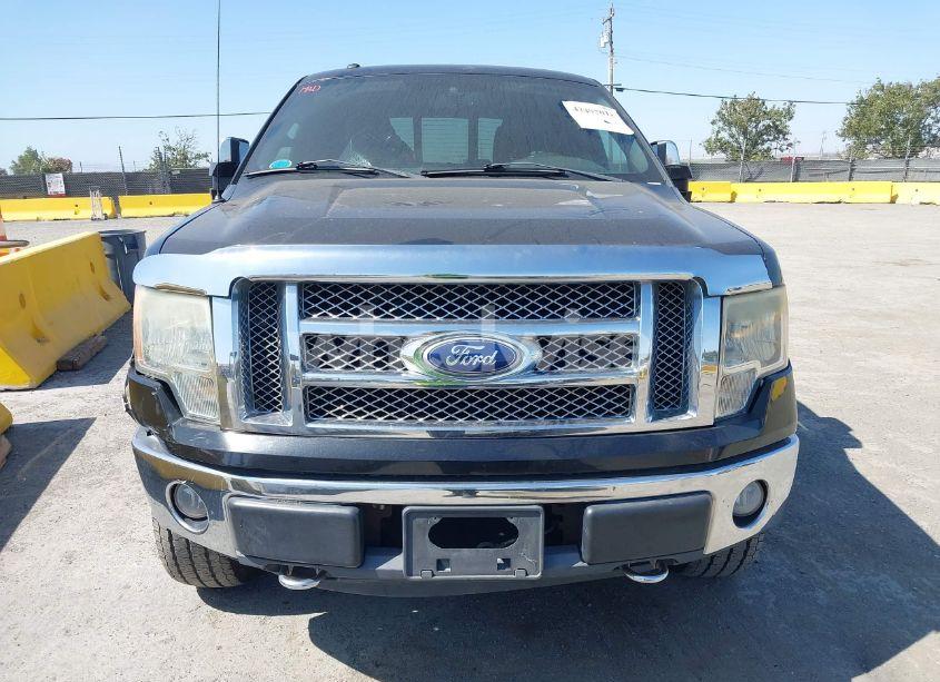 Photo 12 of 2010 Ford F-150 FX4/HARLEY-DAVIDSON/KING RANCH/LARIAT/PLATINUM/XL/XLT (VIN 1FTFW1EV2AFC73331)