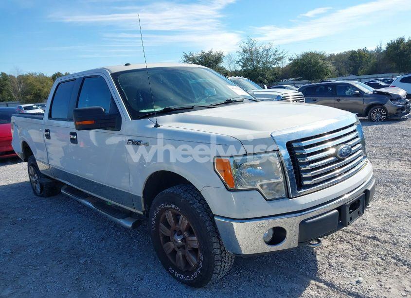 2010 Ford F-150 FX4/HARLEY-DAVIDSON/KING RANCH/LARIAT/PLATINUM/XL/XLT (VIN 1FTFW1EV2AFC77346) main photo