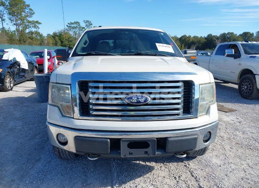 Photo 12 of 2010 Ford F-150 FX4/HARLEY-DAVIDSON/KING RANCH/LARIAT/PLATINUM/XL/XLT (VIN 1FTFW1EV2AFC77346)