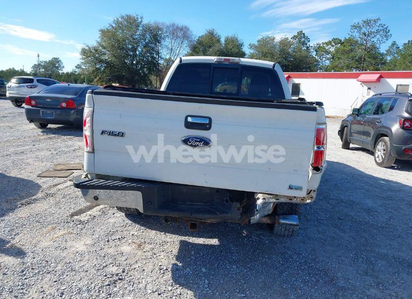 Photo 16 of 2010 Ford F-150 FX4/HARLEY-DAVIDSON/KING RANCH/LARIAT/PLATINUM/XL/XLT (VIN 1FTFW1EV2AFC77346)