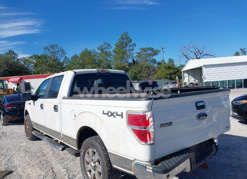 Photo 3 of 2010 Ford F-150 FX4/HARLEY-DAVIDSON/KING RANCH/LARIAT/PLATINUM/XL/XLT (VIN 1FTFW1EV2AFC77346)