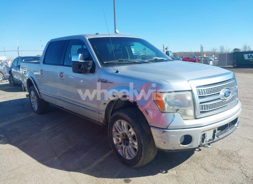 2010 Ford F-150 FX4/HARLEY-DAVIDSON/KING RANCH/LARIAT/PLATINUM/XL/XLT (VIN 1FTFW1EV2AFD03329) main photo