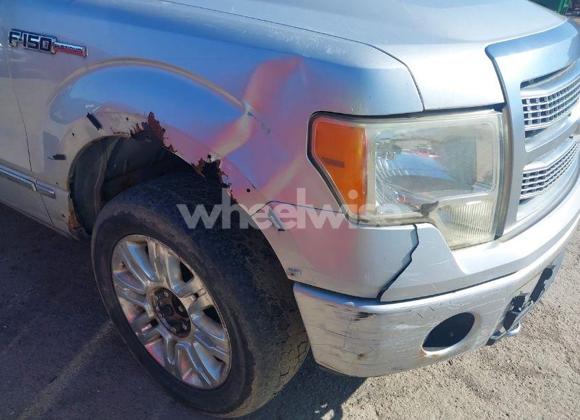 Photo 6 of 2010 Ford F-150 FX4/HARLEY-DAVIDSON/KING RANCH/LARIAT/PLATINUM/XL/XLT (VIN 1FTFW1EV2AFD03329)