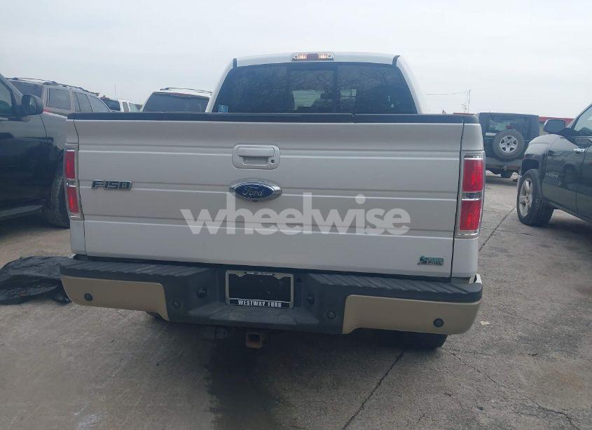 Photo 16 of 2010 Ford F-150 FX4/HARLEY-DAVIDSON/KING RANCH/LARIAT/PLATINUM/XL/XLT (VIN 1FTFW1EV2AFD24911)