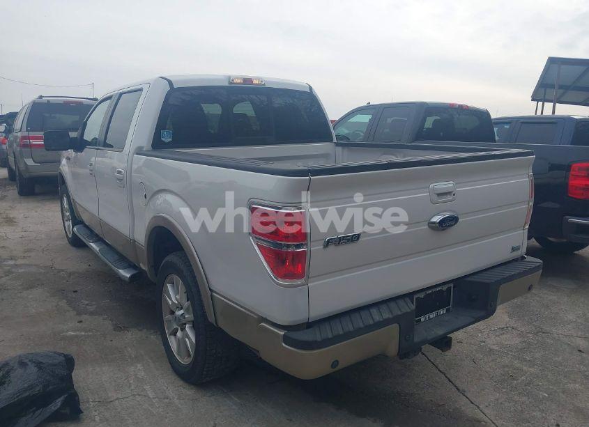 Photo 3 of 2010 Ford F-150 FX4/HARLEY-DAVIDSON/KING RANCH/LARIAT/PLATINUM/XL/XLT (VIN 1FTFW1EV2AFD24911)