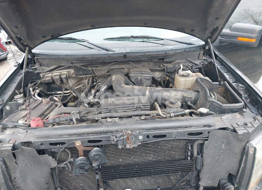 Photo 10 of 2010 Ford F-150 FX4/HARLEY-DAVIDSON/KING RANCH/LARIAT/PLATINUM/XL/XLT (VIN 1FTFW1EV2AFD52207)