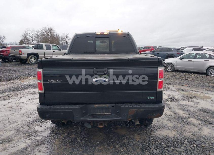 Photo 16 of 2010 Ford F-150 FX4/HARLEY-DAVIDSON/KING RANCH/LARIAT/PLATINUM/XL/XLT (VIN 1FTFW1EV2AFD52207)