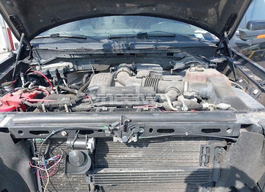 Photo 10 of 2010 Ford F-150 FX4/HARLEY-DAVIDSON/KING RANCH/LARIAT/PLATINUM/XL/XLT (VIN 1FTFW1EV2AKA25412)