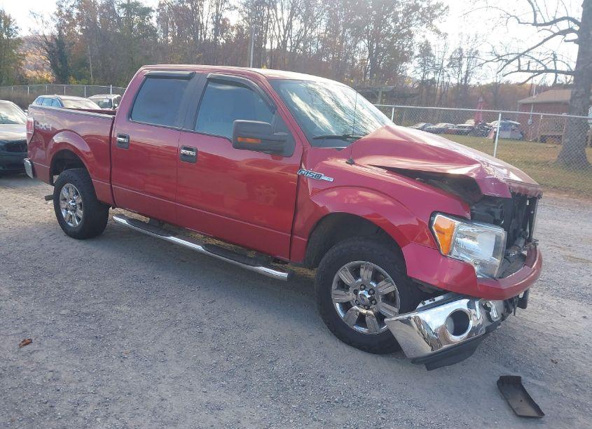 2010 Ford F-150 FX4/HARLEY-DAVIDSON/KING RANCH/LARIAT/PLATINUM/XL/XLT (VIN 1FTFW1EV2AKA77123) main photo
