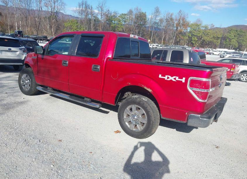 Photo 3 of 2010 Ford F-150 FX4/HARLEY-DAVIDSON/KING RANCH/LARIAT/PLATINUM/XL/XLT (VIN 1FTFW1EV2AKA77123)